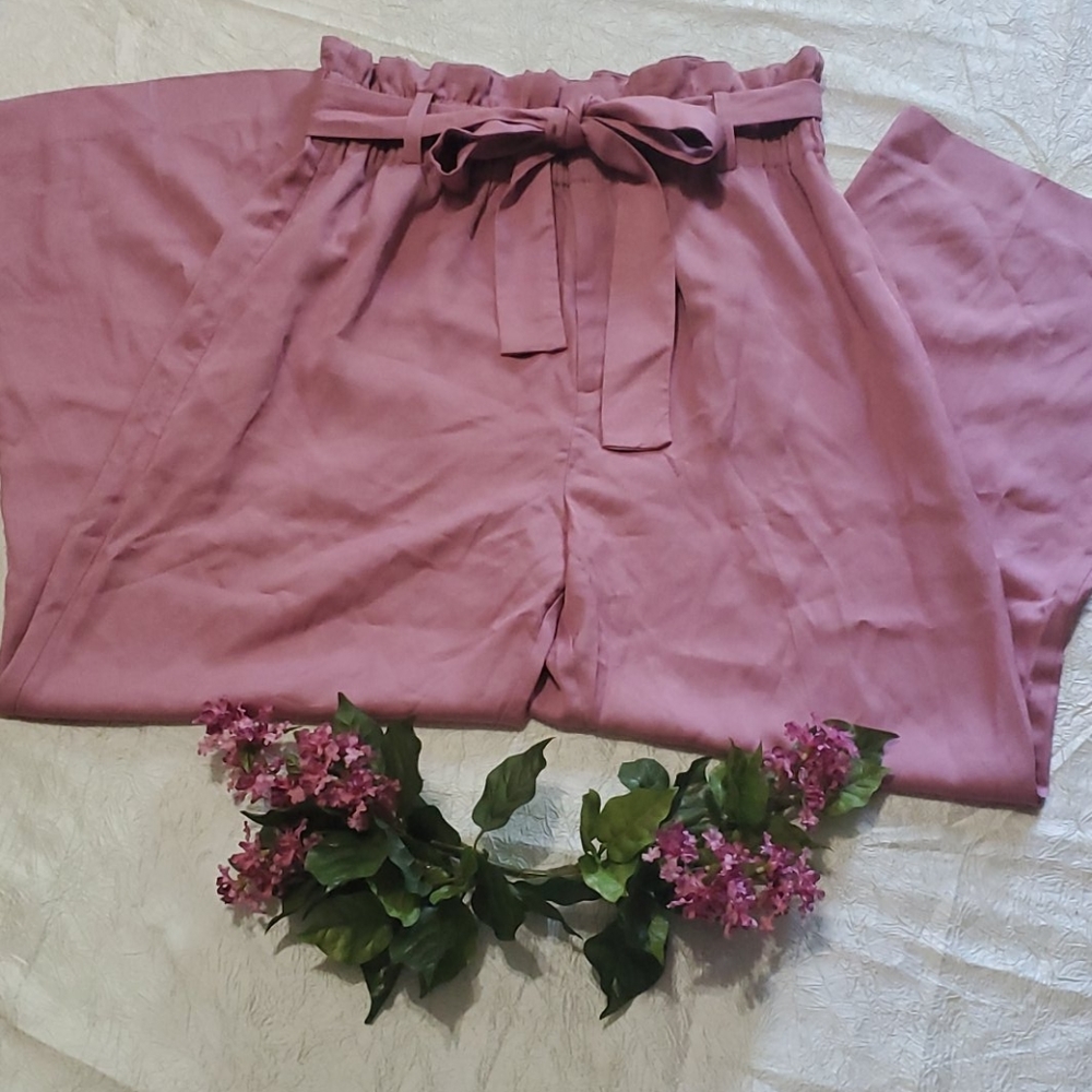 Point Sur By J Crew Pink Paper Bag Pants Size 14
